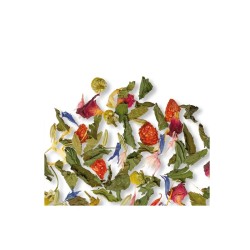 Ceai de plante Althaus CLASSIC HERBS Grand Pack-15 plicuri