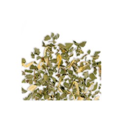 Ceai de menta Althaus Smooth Mint Grand Pack-15 plicuri